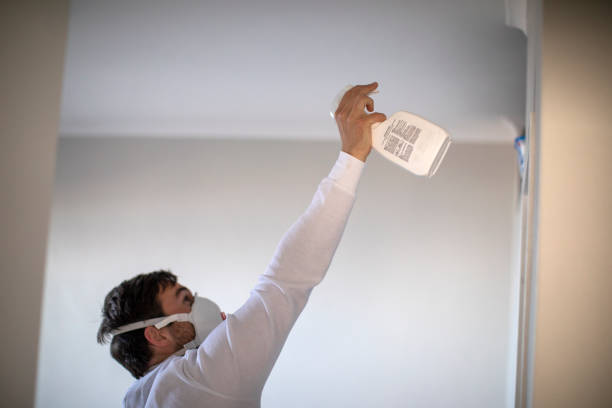 Best Mold Cleaning Services  in Navarre Beach, FL