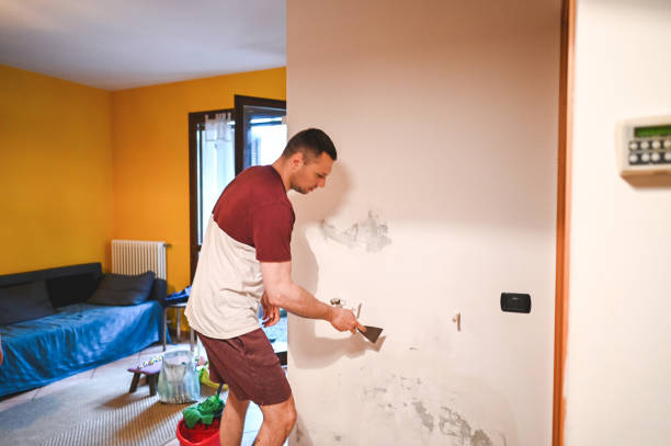 Best Mold Testing  in Navarre Beach, FL